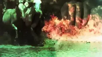 Vintage Taboo, Pussy & Pooch