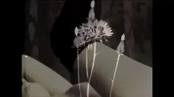 The Wonderful World Of Vintage Pornography, Vintage Hairy Milf