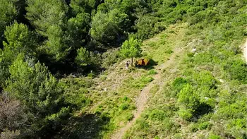 Look what my drone just caught!!!