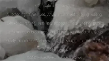 My Cheating Stepmother POV Big titty Redhead Lauren Phillips