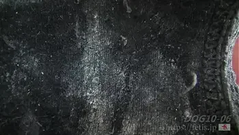 犬嗅ぎ乳娘2　納豆臭い巨乳編⑥　染みパンツとマンカス 編（フェ血ス）