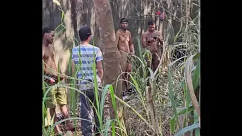 orgy bareback interracial in the florest 05 08