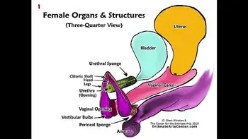 SQUIRTING TUTORIAL #2 - How to Make Girl SQUIRT?