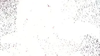 Shimmy Cash presents: Pornstar Bloopers & Fuck Ups #5 - Best Funny Interracial Scene Out Takes