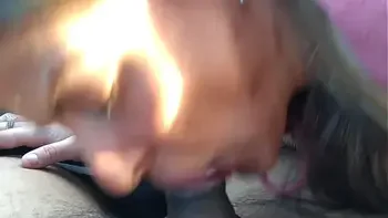 Great Car Blow Swallow