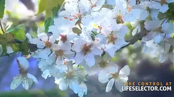 Out of Control Wedding with Riley Reid & Bridesmaids