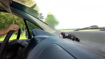 Hello Stranger, wanne Fuck? * watch me live On girls4cock.com