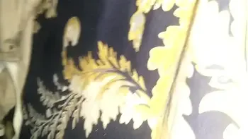 Cặp đôi già và trẻ