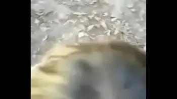 Married milf sucking cock in forest part 3