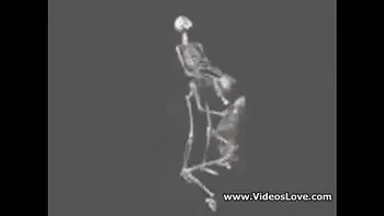 skeletons fucking and sucking