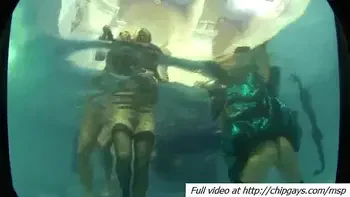 Chicks and babes get pleasure from dude