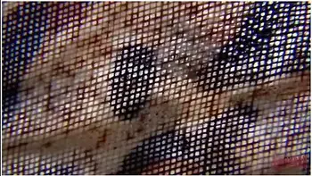 Preview Schnuggie91 Privates Urlaubsvideo Und Fremdgehen Deluxe