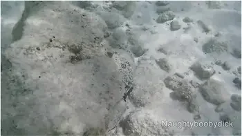 Public Exhibitionist German Teen 18+ With Big Boobs On The Sea Showing Pussy And Ass