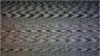 Lacey Lala In Pledge Wants Your Help (and Cock) [trailer]