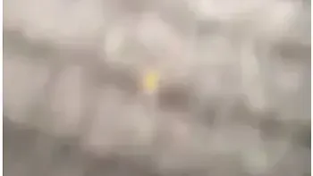 Hitting It From The Back