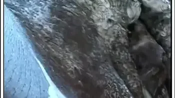 Plumb Ebony MILF Bitch fucked in her sexy shaved pussy