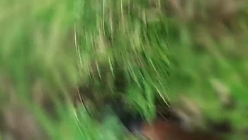 Farmer In Her Ass Watching His Stepdaughter Finger