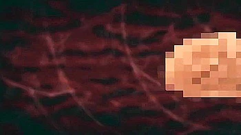 He kisses her, gives her a hand job, cums in her mouth, straddles her on top and cums inside her.