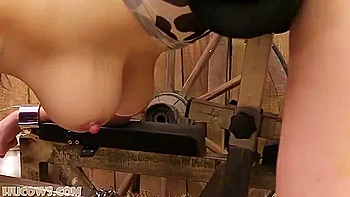 Anc1lla Red Cow Milker