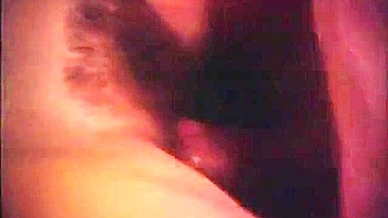 Die Sexgierigen Tochter (1979)