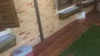 gravações de Carnaval com o elenco el Toro de oro , Paty bumbum, flakael, Bombomd4, Branca de Neve atriz, Samuka Ventura, Ines Ventura, Bruninho bombom, Myke Brazil, Clarkes boutaine, Brinquedo Ator, Fada mel, Bruxo Fire, Bradock 22 hot