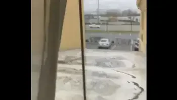 Grita zorra 2 gritona