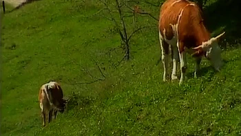 Astrid Pils And German Classic In Huttenzauber (1989)