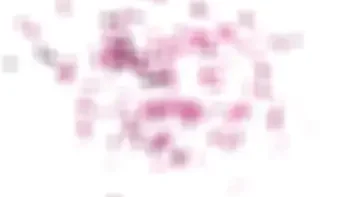 GIRLSRIMMING - Hot rimjob action with busty blonde Blake Blossom and Ramon Nomar