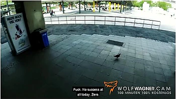 Train Station Blowjob! I Met This Gothic Milf And I Fucked Her Fake Tits: Sidney Dark