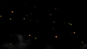 Badass Girls Humiliation Lesbian Slut - Spitting and Human Ashtray Dirty Lezdom