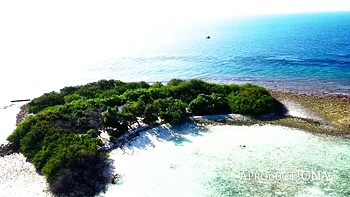 Amazing Beach Directors Cut