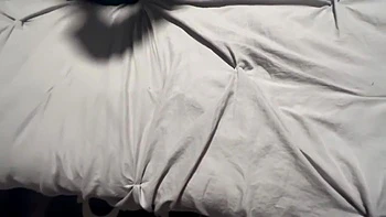 Thanksgiving This Dick