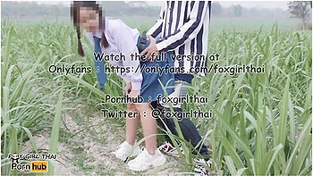 Thai Student And Sexy Thai - 4k Thai เยดuกเรยuใuไรออย รถwาuไปมาโคตรเสยว แตกใสnuาเตมๆ