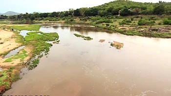 Super Tight Ebony Pussy Pounded POV