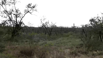 Super Tight Ebony Pussy Pounded By BWC