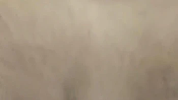 Bhabi Called Me To The Jungle To Fuck Her