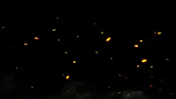 Mouth Instead Of A Trash Can For Toothbrushing Spitting And Nail Dust Watered By The Golden Shower Of Mistress Kira