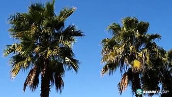 A Bikini Day for Amy Villainous - Amy Villainous - XLGirls