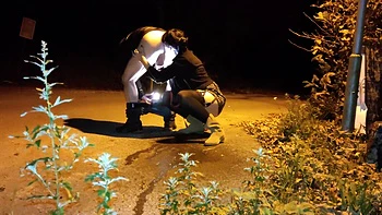 Horny Milf Gives Passionate Rimjob On A Public