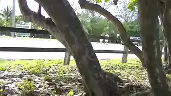 Exhibitionist Wife #88 - Russian MILF Tatiana Dogging Parking Lot Handjobs After Nude Beach voyeur Teasing With Her Butt Plug!  Public Pussy Flashing!