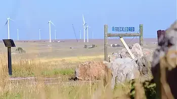 Hairy Pussy Rub In Public