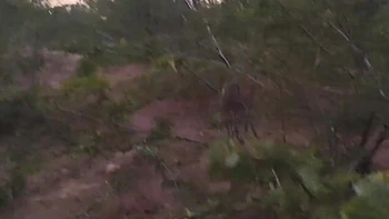 Bhabi Ne Jangal Me Mangal Kar Diya