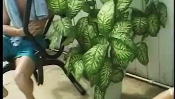 Chelly Chuncky Chicks 2: Blowjob, Doggy  Missonary Porn