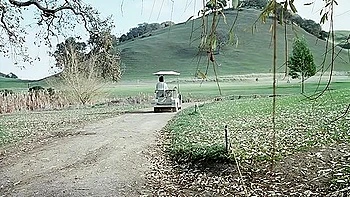 Handsome Nectarines Prtt Pchs (desiree C) (1978, Usa, Classixxx) (fullhd Ai Upscale To 1440)