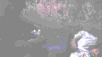 Terrore Nel Bosco (1998) Restored With Sheila Stone, Remigio Zampa And Vivienne Fovea