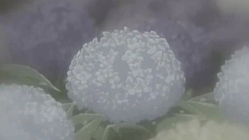 Big-Tits Anime Babe Fingering and Hardcore Fuck
