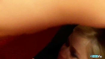 Adorable Kitten At Doggystyle Trailer