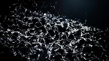 Well-made chippy's eating pussy movie