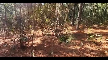 Latina Gets Banged Doggy & BJ in Forest Milk Bath