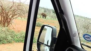 Heißes schwarzes Girl bittet um hardcore Doggy-Fick